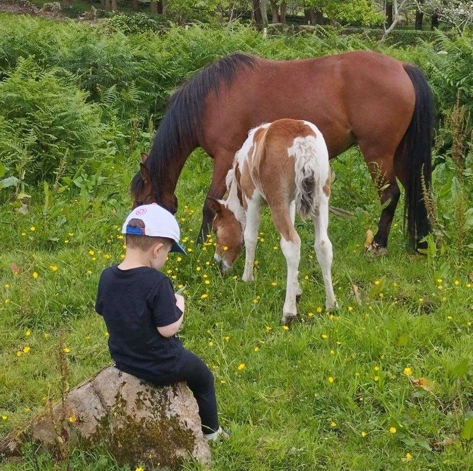 Equi-Ocio Cabaliño de Pao en Cervo