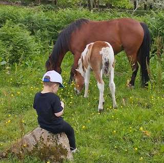 Fechas, información, programa, cartel, imágenes, mapa y ubicación de Equi-Ocio Cabaliño de Pao  en  Cervo
