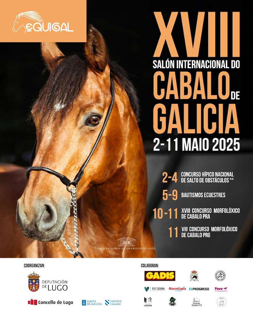 Equigal - XVIII Salón do Cabalo de Galicia (2025) en Lugo