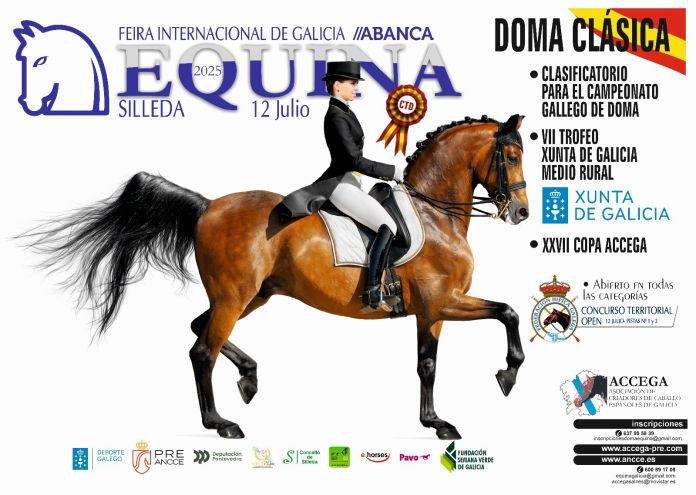 Equina en Silleda