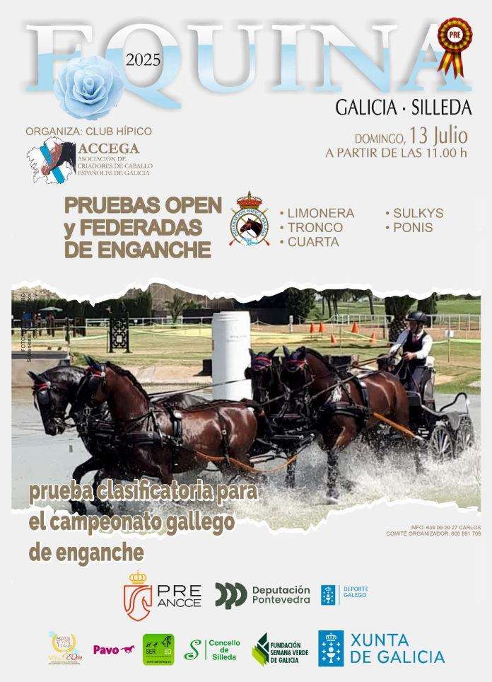 Equina en Silleda