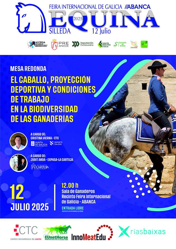 Equina en Silleda