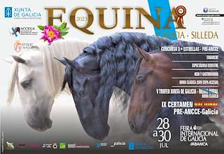 Equina en Silleda