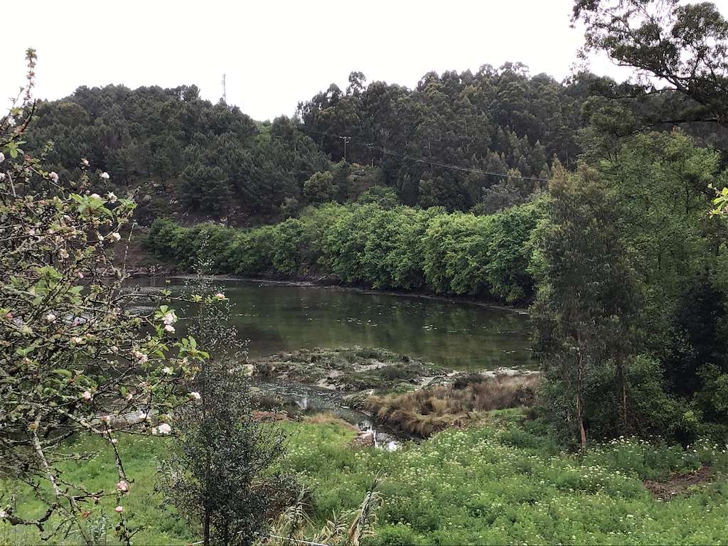 Espacio Natural Soutoxuste en Redondela