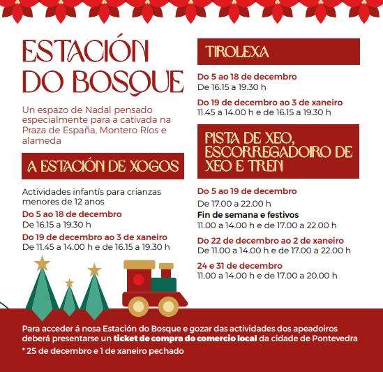 Estación do Bosque - Pista de Hielo (2025-2026) en Pontevedra