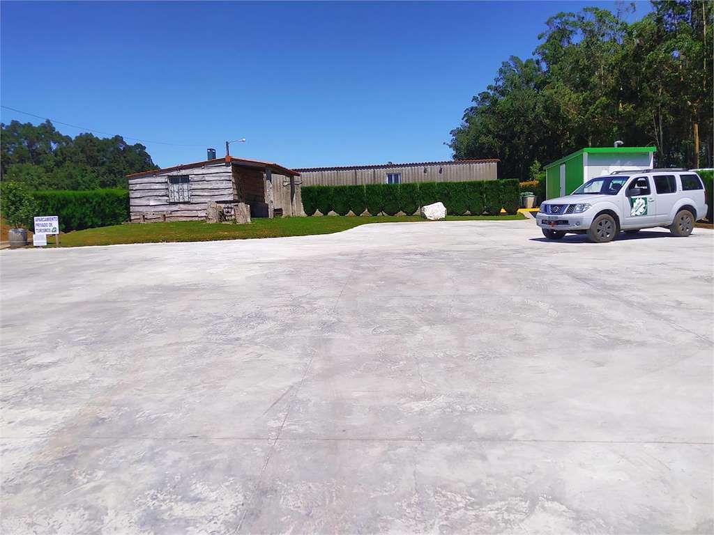 Eumenatura en Monfero