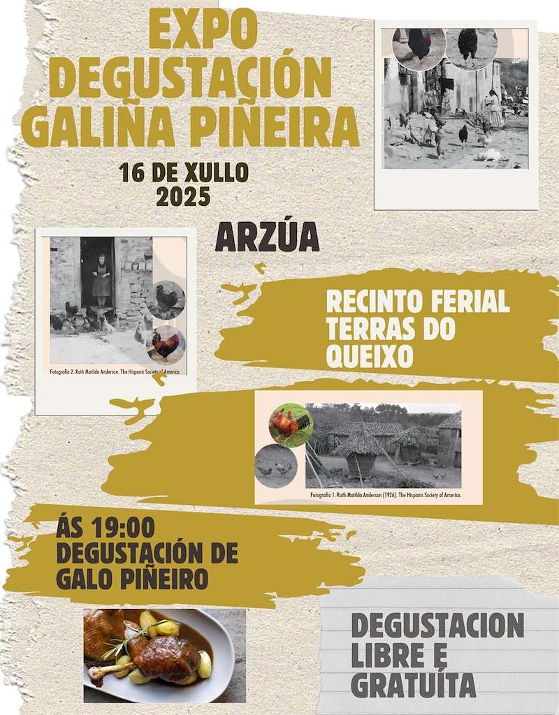 Expo-Degustación da Galiña Piñeira (2025) en Arzúa