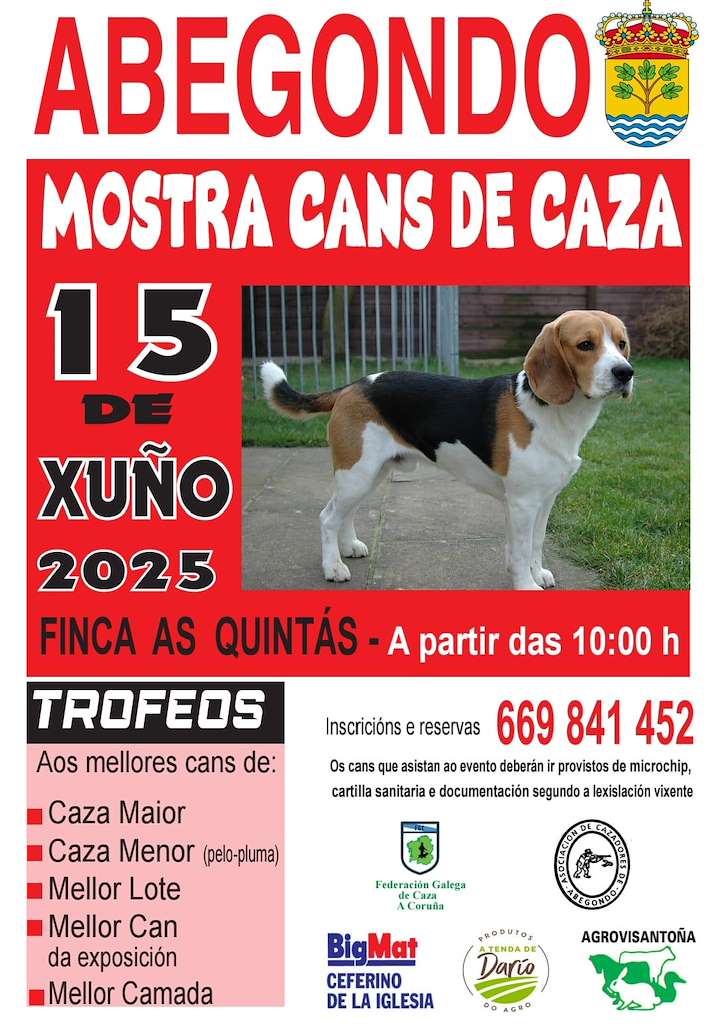 Exposición Cans de Caza (2025) en Abegondo