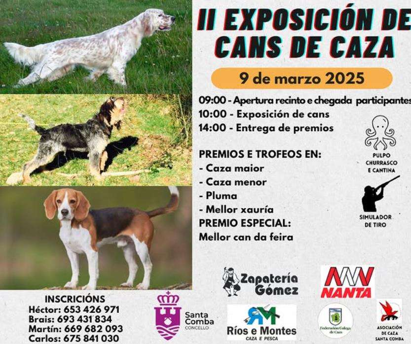 Exposición Cans de Caza en Santa Comba