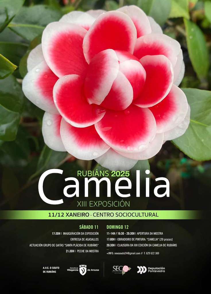 XIII Exposición da Camelia de Rubiáns en Vilagarcía de Arousa
