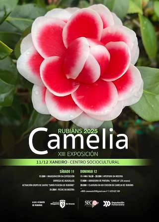 Fechas, información, programa, cartel, imágenes, mapa y ubicación de XIII Exposición da Camelia de Rubiáns  en  Vilagarcía de Arousa