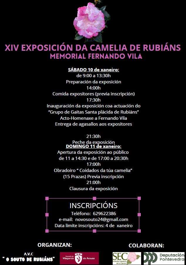 XIV Exposición da Camelia de Rubiáns en Vilagarcía de Arousa