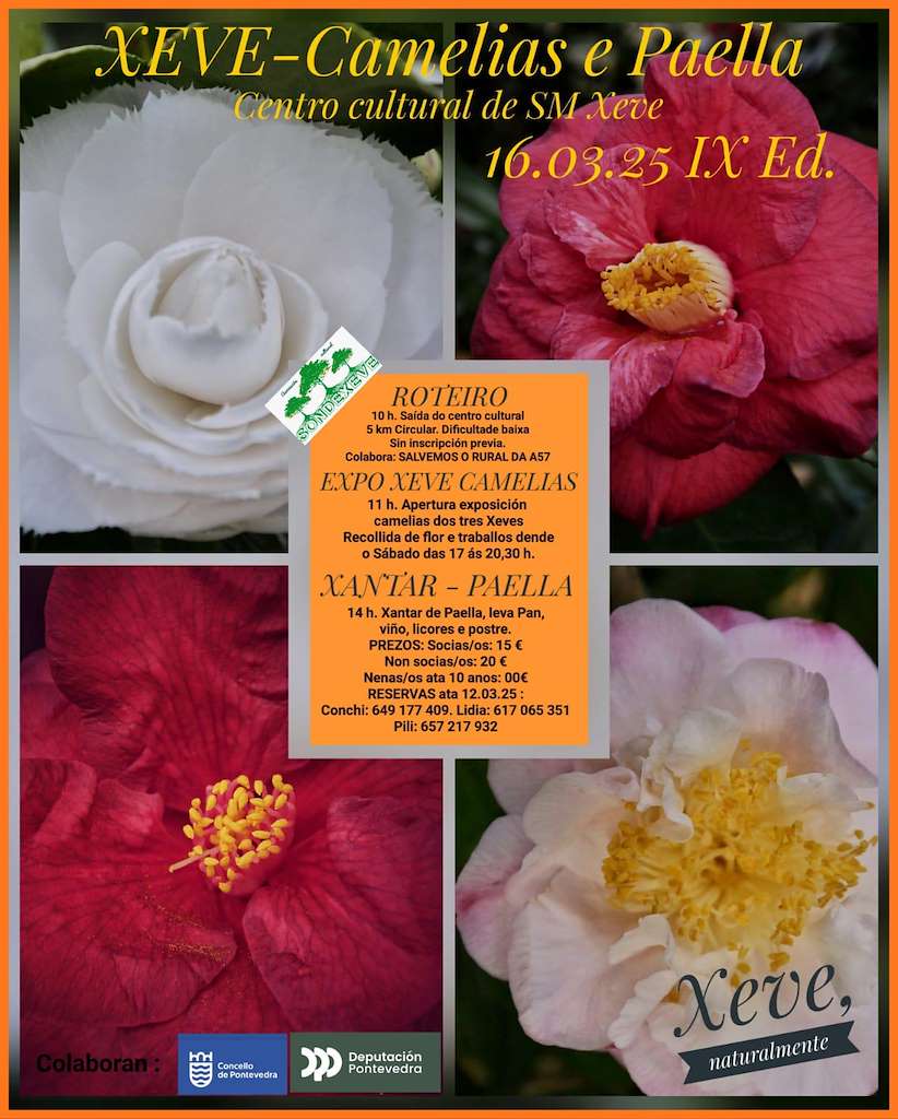 IX Exposición da Camelia de Xeve en Pontevedra