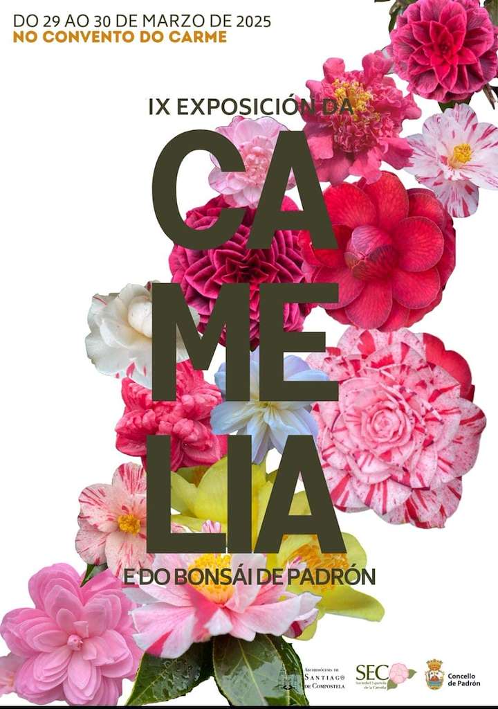 IX Exposición da Camelia e do Bonsai en Padrón