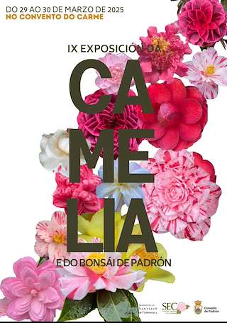 Fechas, información, programa, cartel, imágenes, mapa y ubicación de IX Exposición da Camelia e do Bonsai  en  Padrón