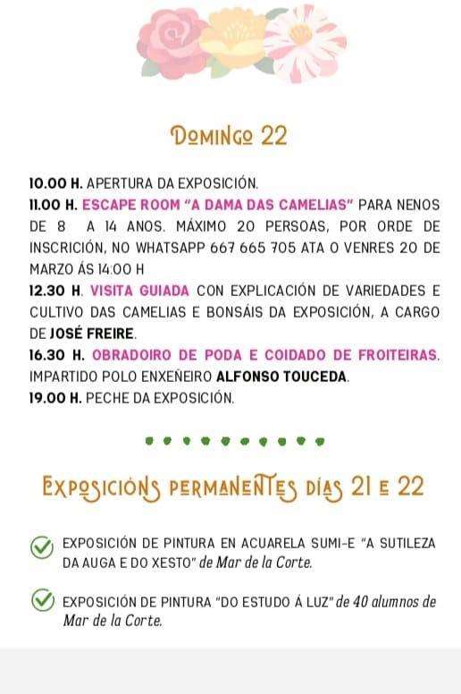 X Exposición da Camelia e do Bonsai en Padrón