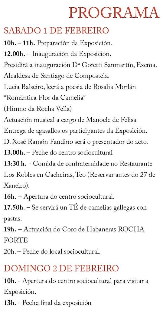 XIV Exposición da Camelia na Rocha Vella en Santiago de Compostela
