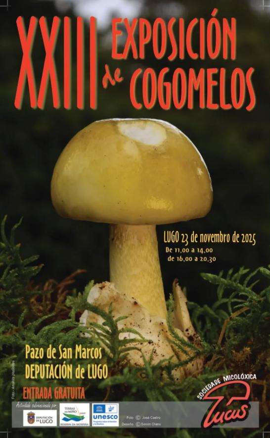 XXIII Exposición de Cogomelos en Lugo