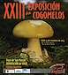 FiestasRelacionadas XXIII Exposición de Cogomelos en Lugo