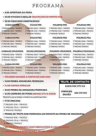 Feira Anual do Cabalo (2026) en Meis