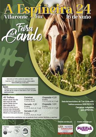 Feira de Gando A Espiñeira (2026) en Foz