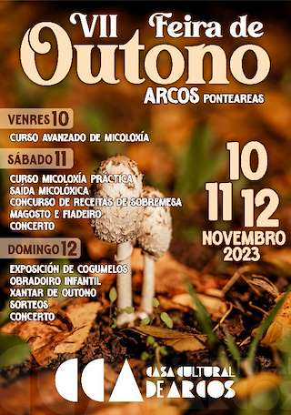 Feira de Outono de Arcos (2025) en Ponteareas