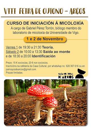 Feira de Outono de Arcos (2025) en Ponteareas