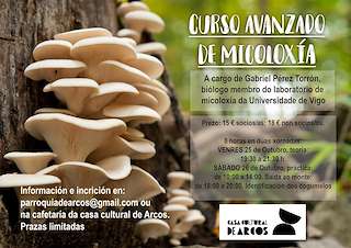 Feira de Outono de Arcos (2025) en Ponteareas