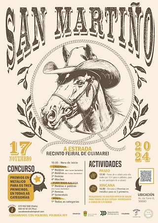 Fechas, información, programa, cartel, imágenes, mapa y ubicación de Feira Cabalar do San Martiño  en  A Estrada