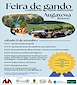 FiestasRelacionadas Feira de Gando de Augaxosa  (1) en Riotorto