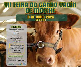 Fechas, información, programa, cartel, imágenes, mapa y ubicación de VII Feira de Gando Vacún  en  Moeche
