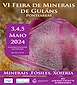 FiestasRelacionadas VI Feira de Minerais de Guláns en Ponteareas