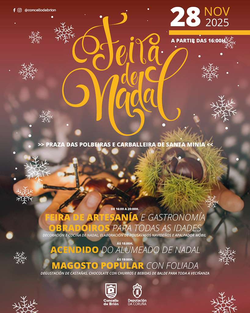 Feria de Navidad y Encendido de las Luces en Brión