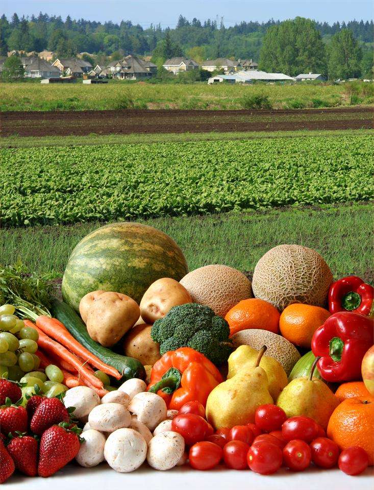 Feira de Productos da Horta en Ribadeo