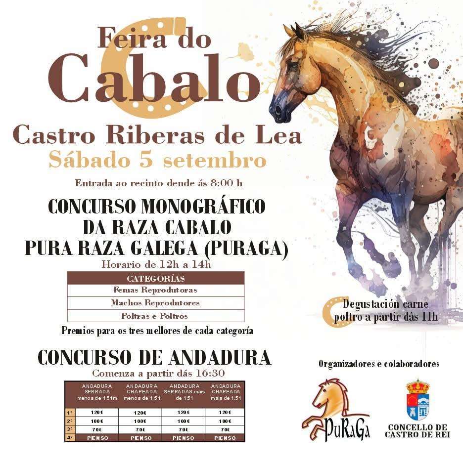 Feira do Cabalo (2026) en Castro de Rei