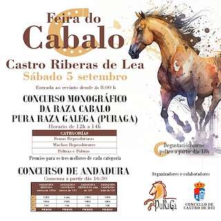 Fechas, información, programa, cartel, imágenes, mapa y ubicación de Feira do Cabalo (2026) en Castro de Rei