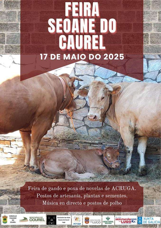 Feira do Gando de Seoane do Courel (2025) en Folgoso do Courel