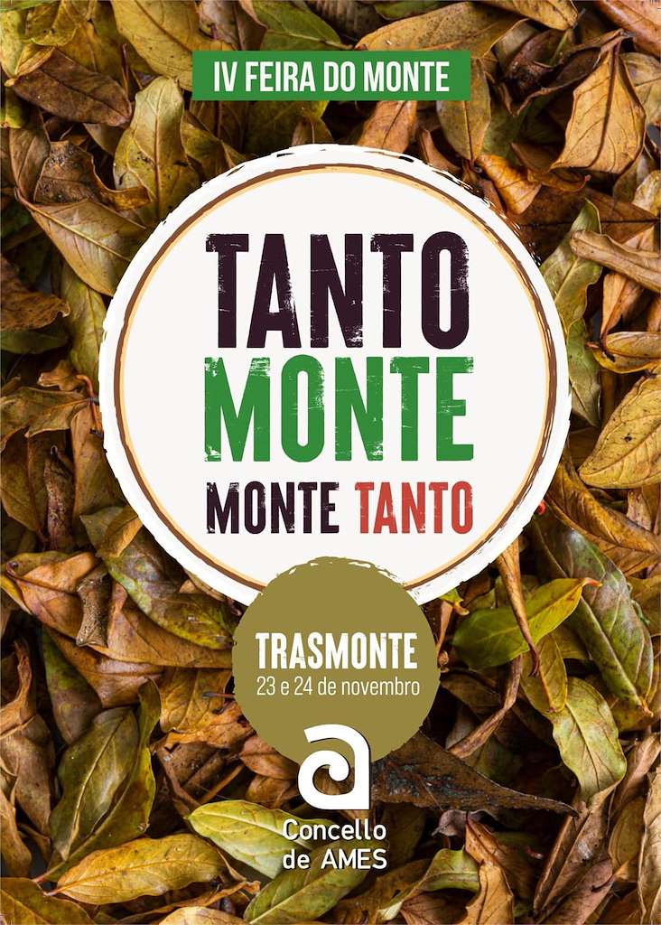 IV Feira do Monte Tanto Monte, Monte Tanto en Ames