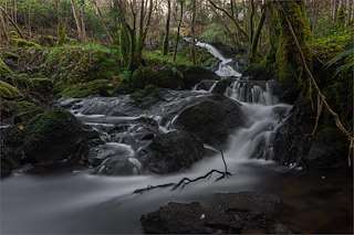 Fechas, información, programa, cartel, imágenes, mapa y ubicación de Ferveda do Río de Regos  en  Coristanco