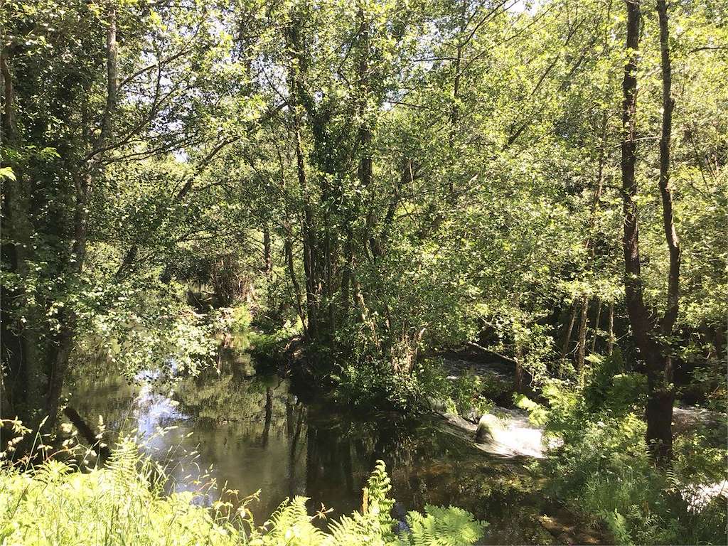 Fervenza As Feiticeiras en As Pontes de García Rodríguez