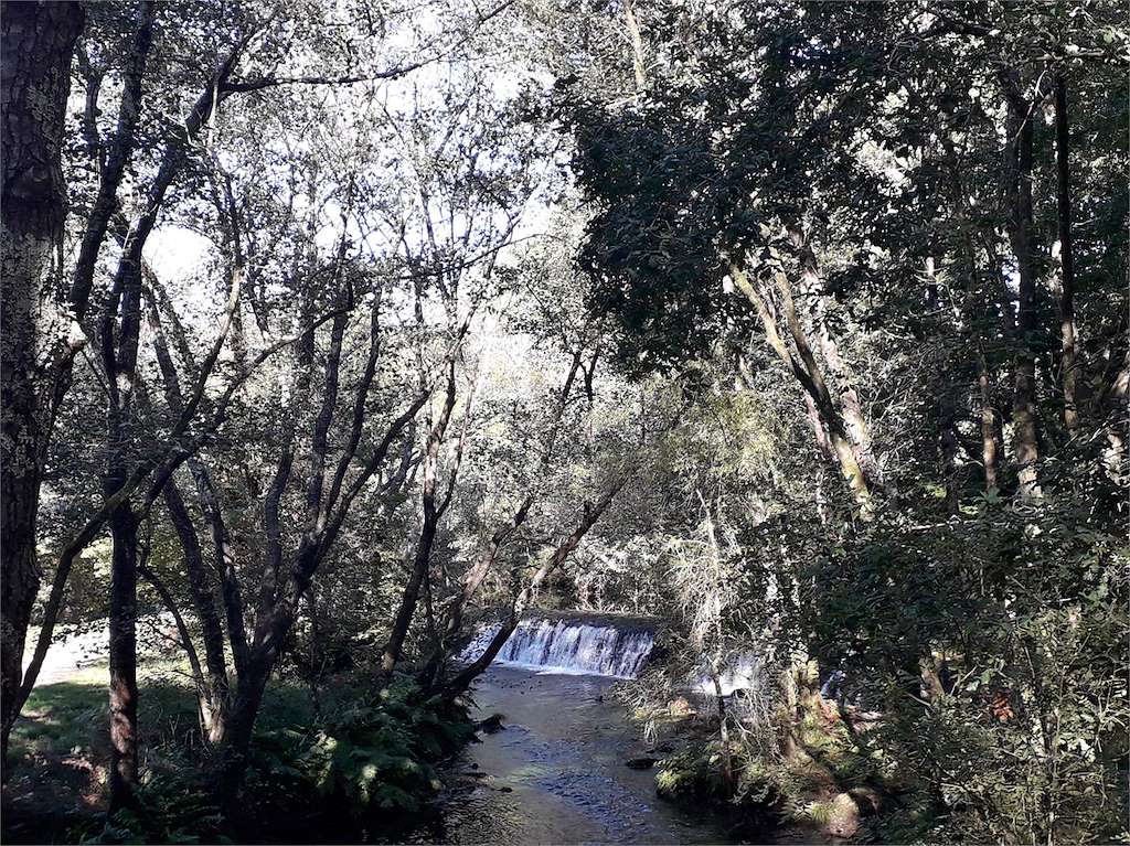 Fervenza Balsa de Portocarreiro en Negreira