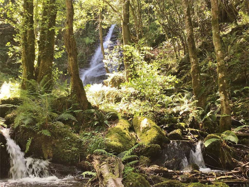 Fervenza da Férrea en A Pontenova