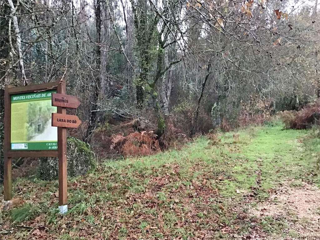 Fervenza da Laxe do Avó en Arbo