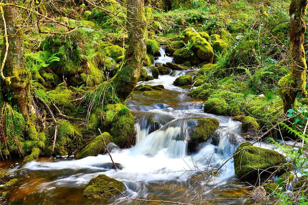 Fervenza da Torez  en O Valadouro