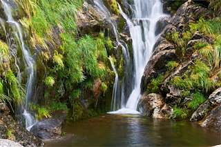 Fechas, información, programa, cartel, imágenes, mapa y ubicación de Fervenza de Cadarnoxo (2022)  en  Boiro