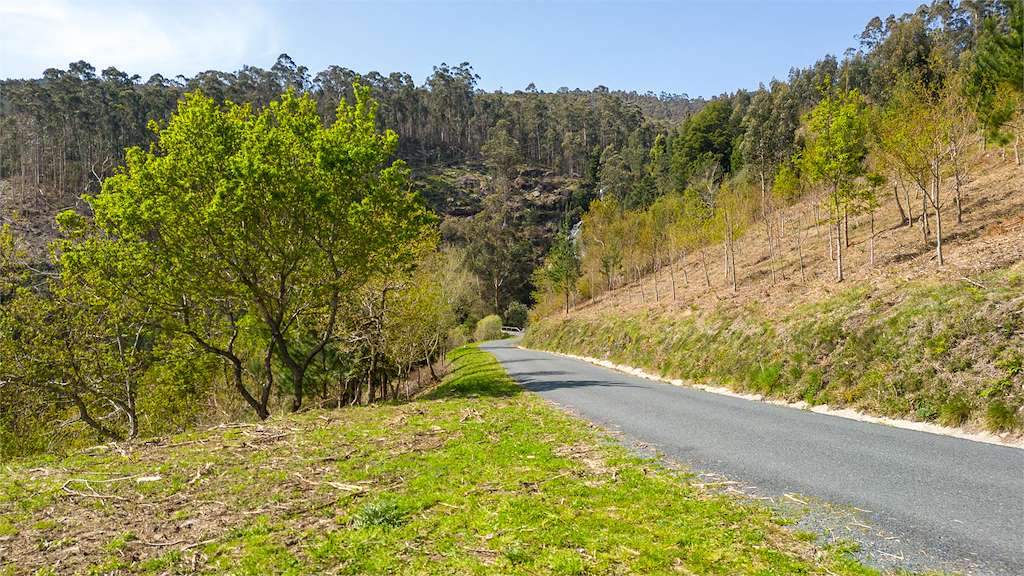 Fervenza de Cadarnoxo en Boiro