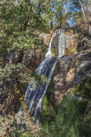Fechas, información, programa, cartel, imágenes, mapa y ubicación de Fervenza de Ribasieira (2022)  en  O Porto do Son
