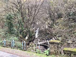 Fechas, información, programa, cartel, imágenes, mapa y ubicación de Fervenza do Fondós (2024)  en  Carballedo