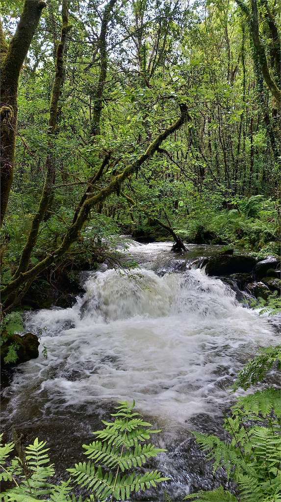 Fervenza do Rego de Cubes en Vimianzo
