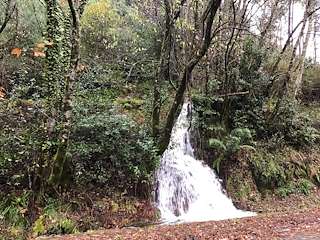 Fervenza do Río Calvo